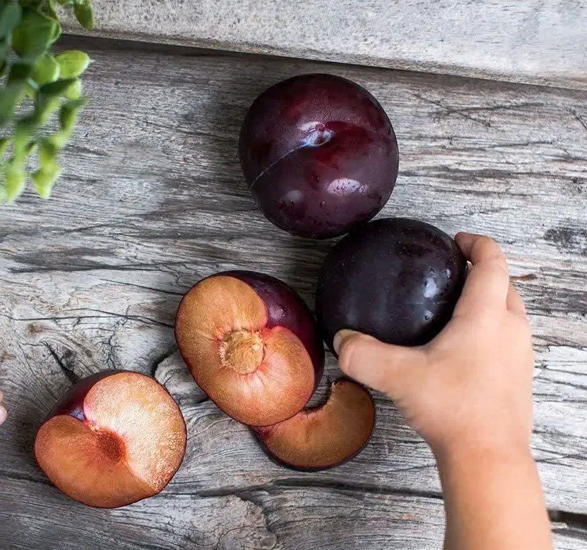 پیشفروش نهال شناسه دار آلو پاییزه|خدمات باغبانی و درختکاری|طبس, |دیوار