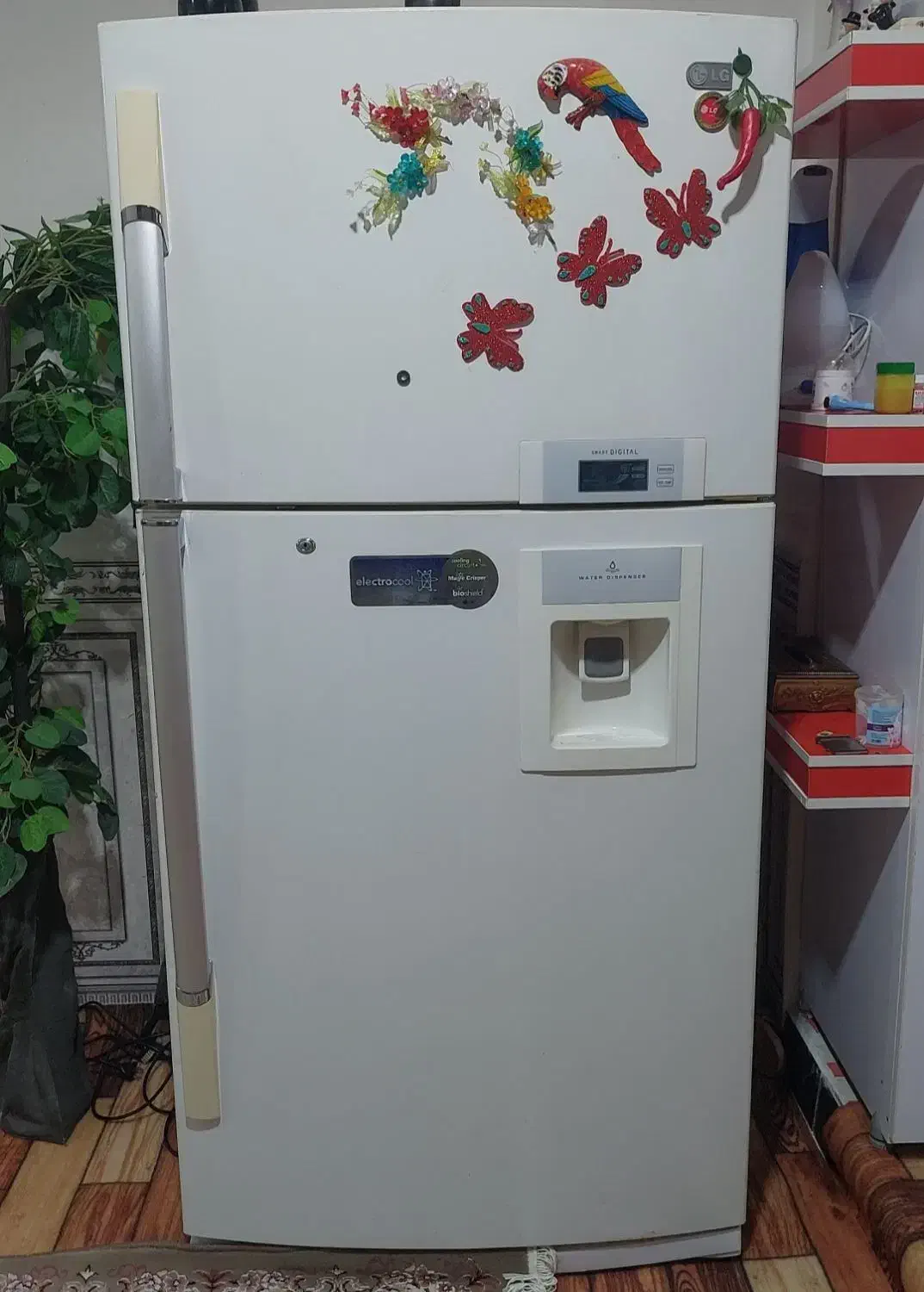 یخچال ال جی|یخچال و فریزر|چابهار, |دیوار