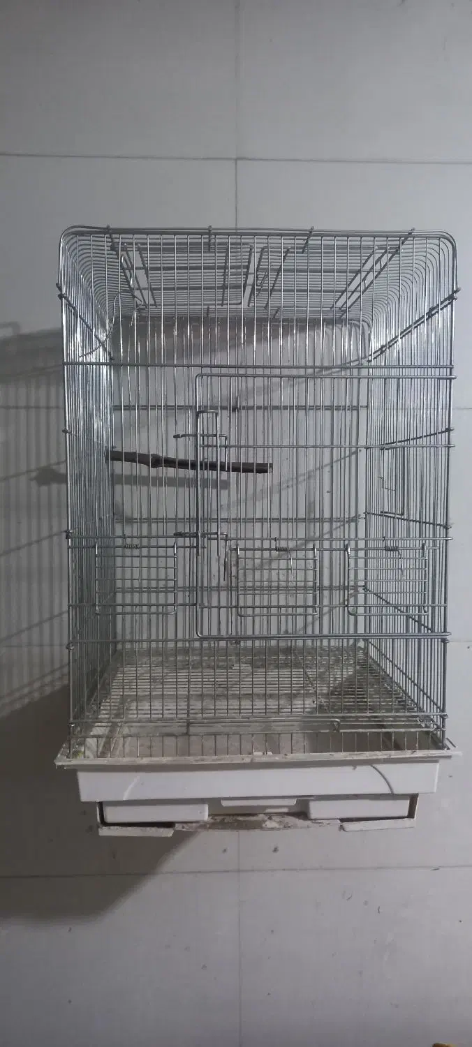 قفس طوطی و عروس|لوازم جانبی حیوانات|قلعه نو, |دیوار