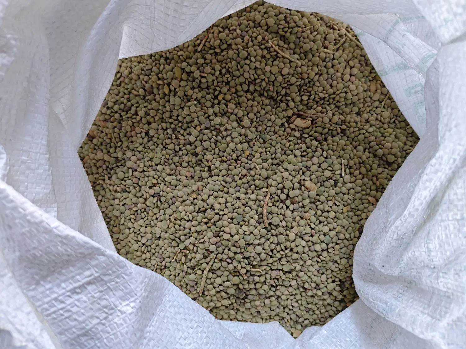 عدس|خوردنی و آشامیدنی|نمین, |دیوار