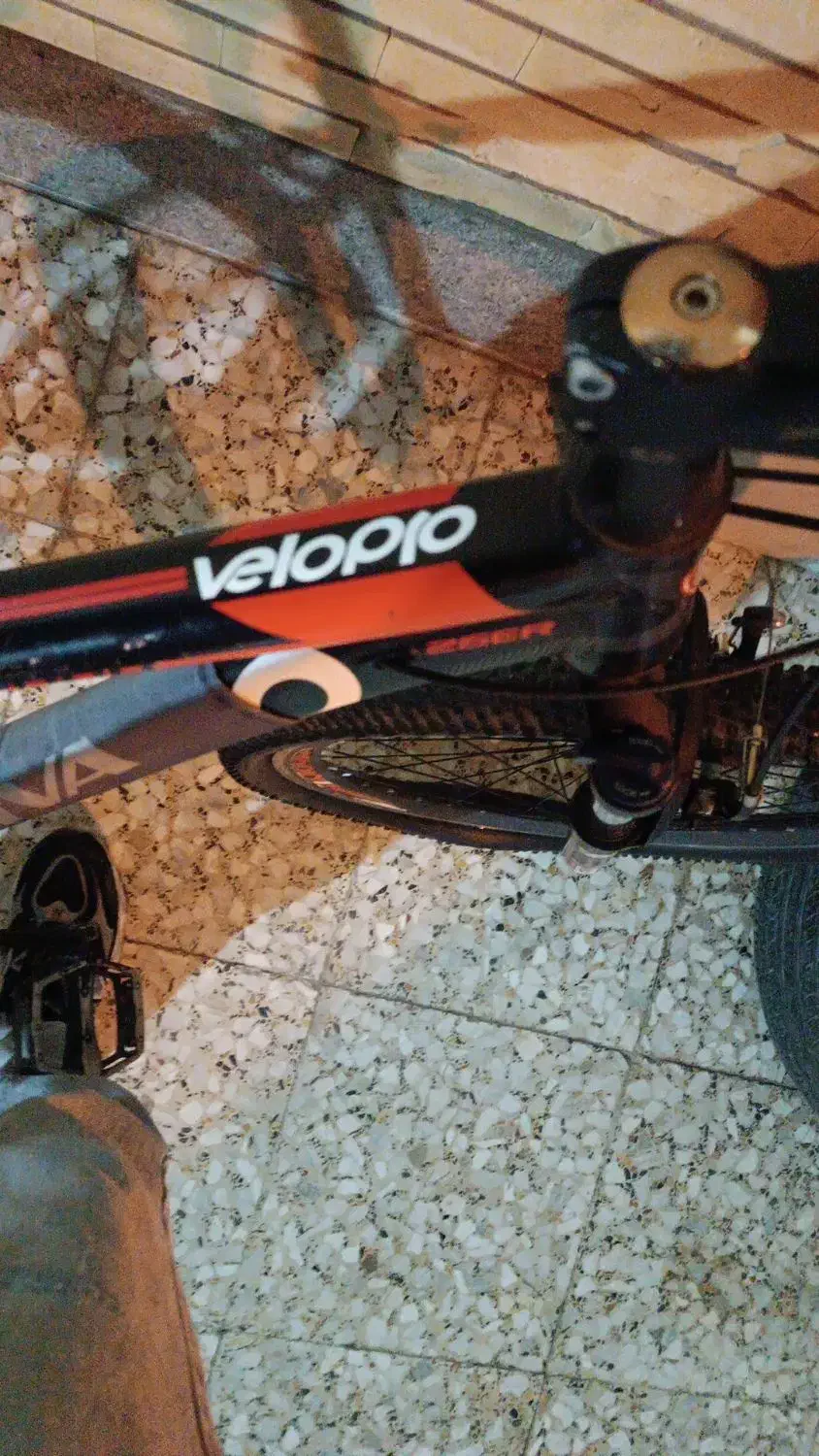 دوچرخه سایز ۲۶|دوچرخه، اسکیت، اسکوتر|مبارکه, |دیوار