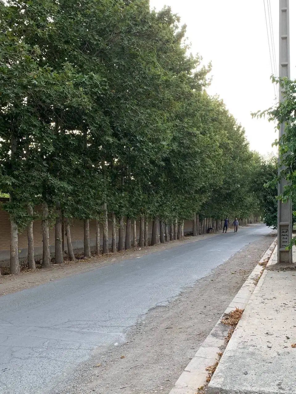 فروش ۵۰۰ متر زمین ساحل|فروش دفتر صنعتی، کشاورزی، تجاری|قدس, شهر‌قدس|دیوار