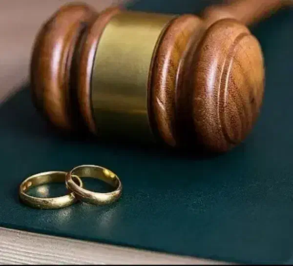 راهنمایی وکیل|فعالیت داوطلبانه|پرند, فاز ۱|دیوار