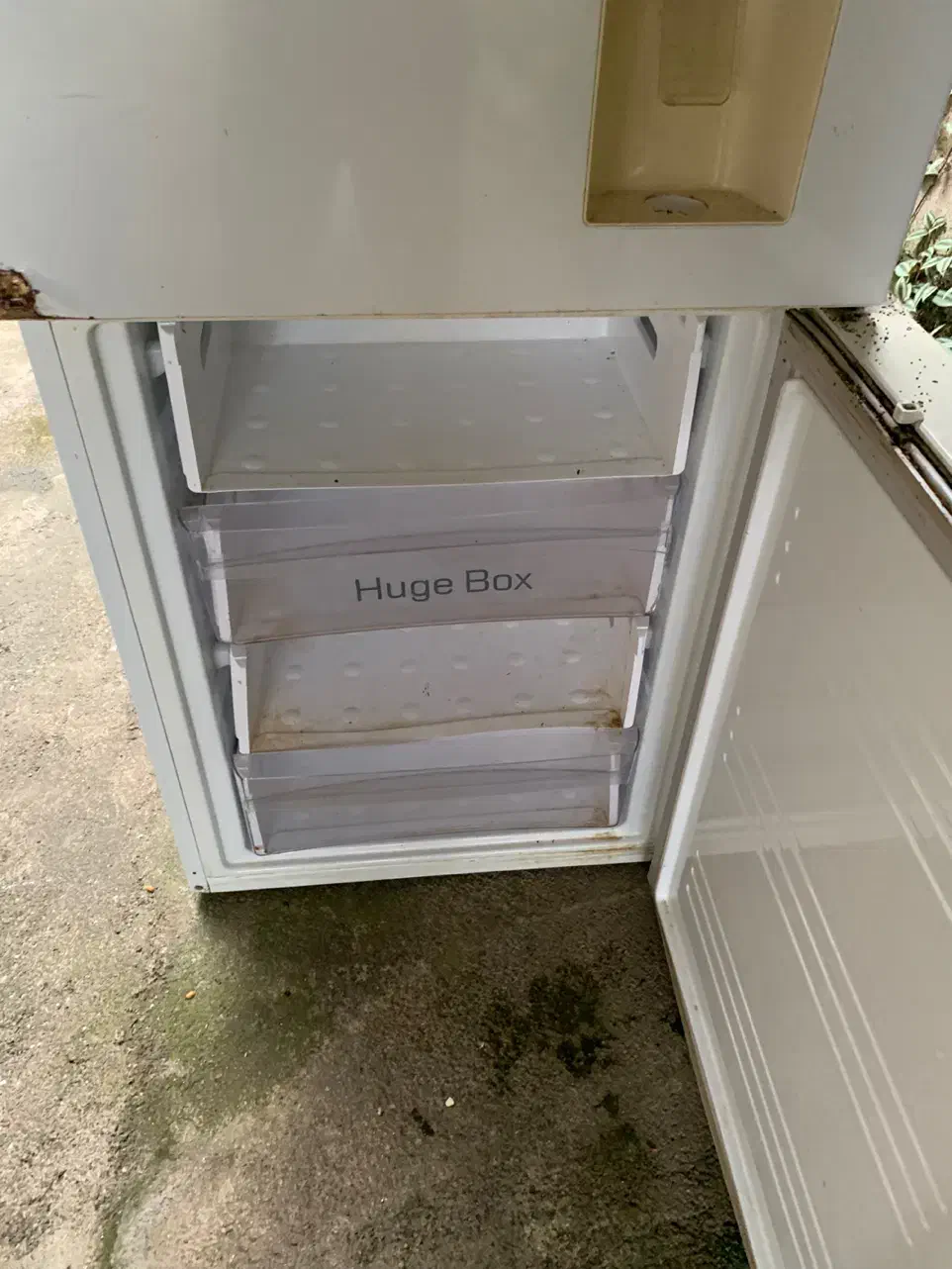 یخچال Daevoo|یخچال و فریزر|طاهرگوراب, |دیوار