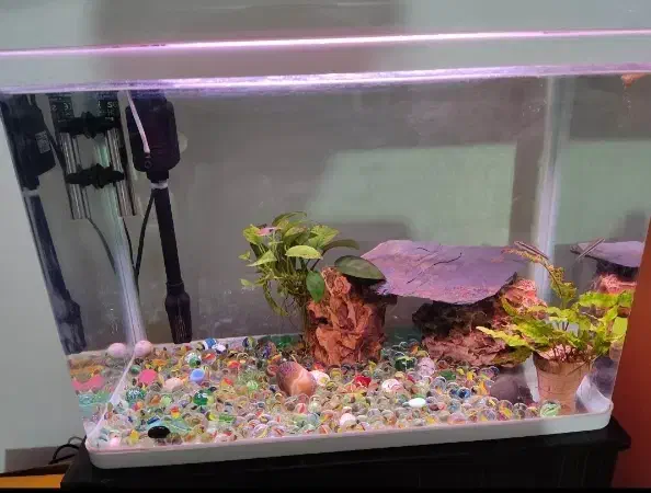 آکواریوم شرکتی شیشه خم مدل دلسا|ماهی|فردیس, فردیس|دیوار