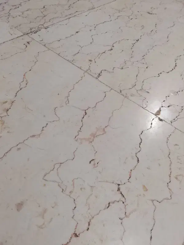 نظافت منزل و امور خانه داری|خدمات نظافت|تهران, سلسبیل جنوبی|دیوار