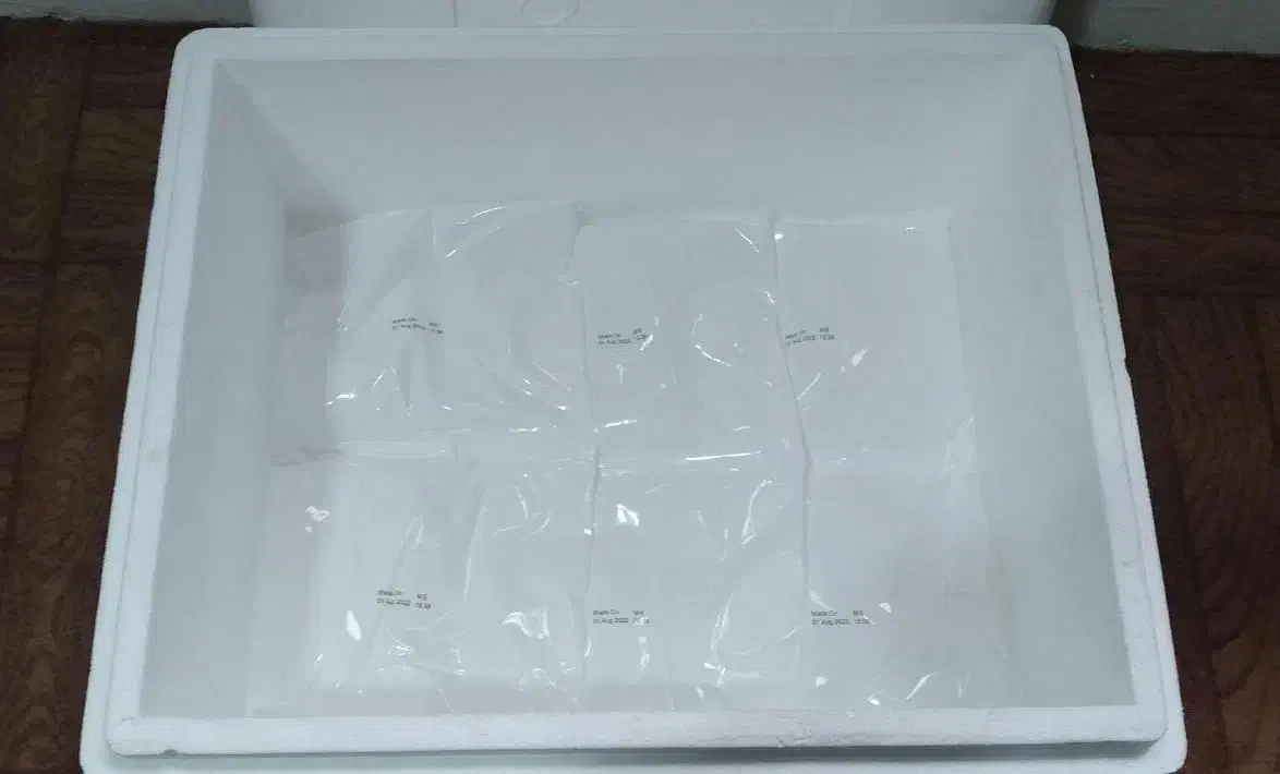 یخدان یونولیتی ۲۳ لیتری خارجی همراه یخ خشک|کوهنوردی و کمپینگ|تهران, دستغیب|دیوار