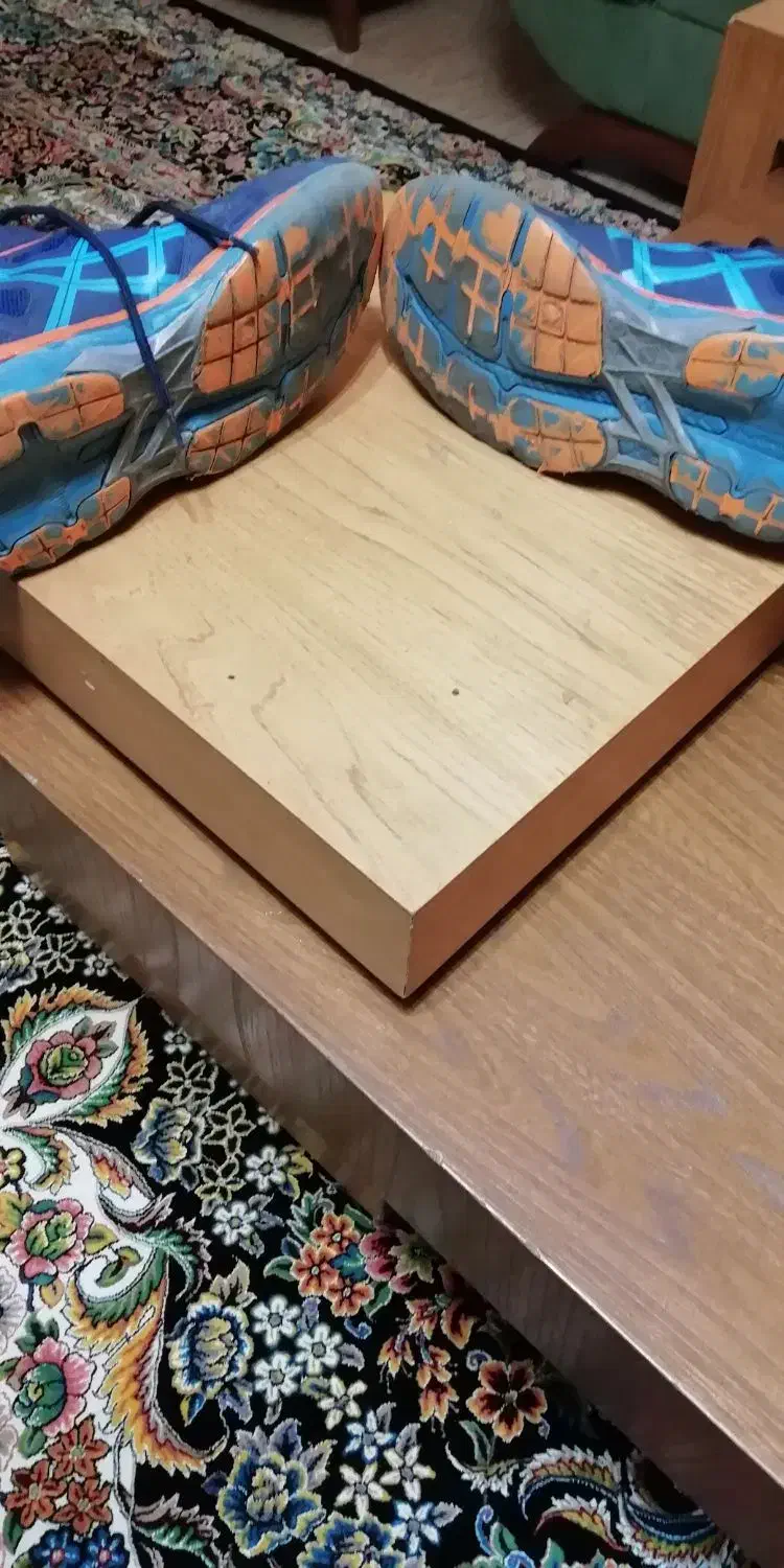 کتلنی والیبال|تجهیزات ورزشی|رشت, دیانتی|دیوار