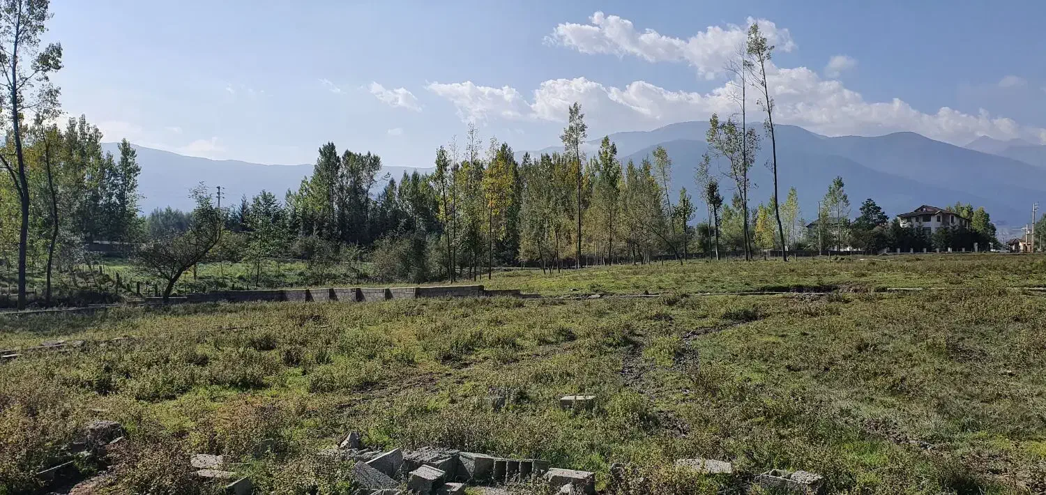 زمین ۴۵۰ متر سنددارنقد یا تهاتر با ماشین یا چکی|فروش زمین و ملک کلنگی|کلاردشت, |دیوار
