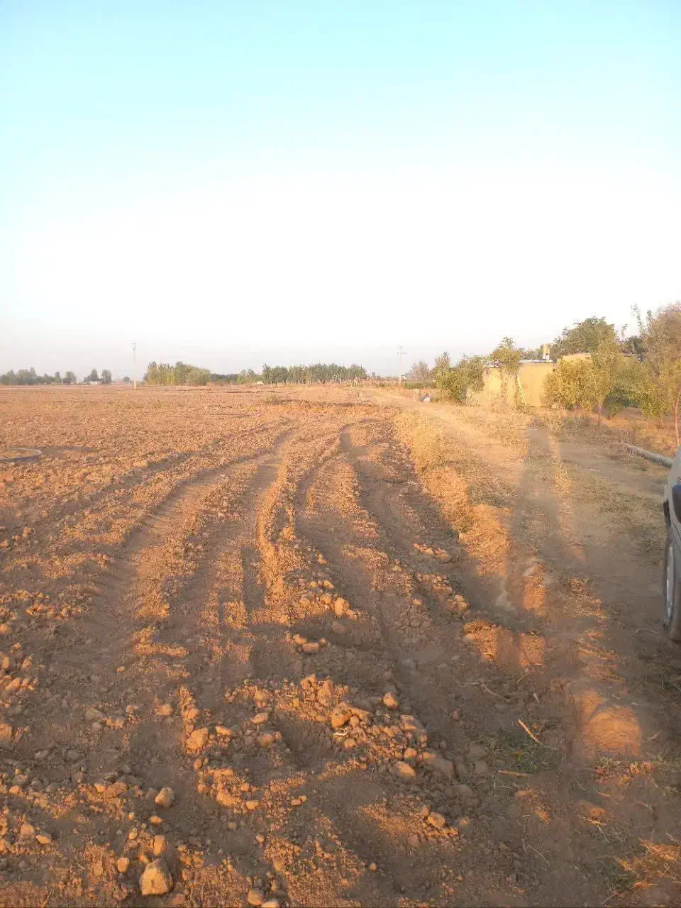 فروش زمین کشاورزی آبی|فروش دفتر صنعتی، کشاورزی، تجاری|بهار, |دیوار