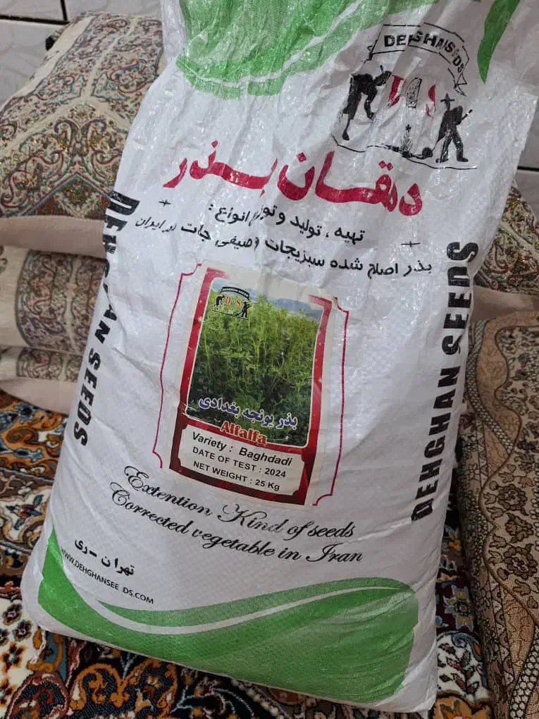 بذریونجه بغدادی اصلاح شده|خدمات باغبانی و درختکاری|اهواز, زرگان|دیوار