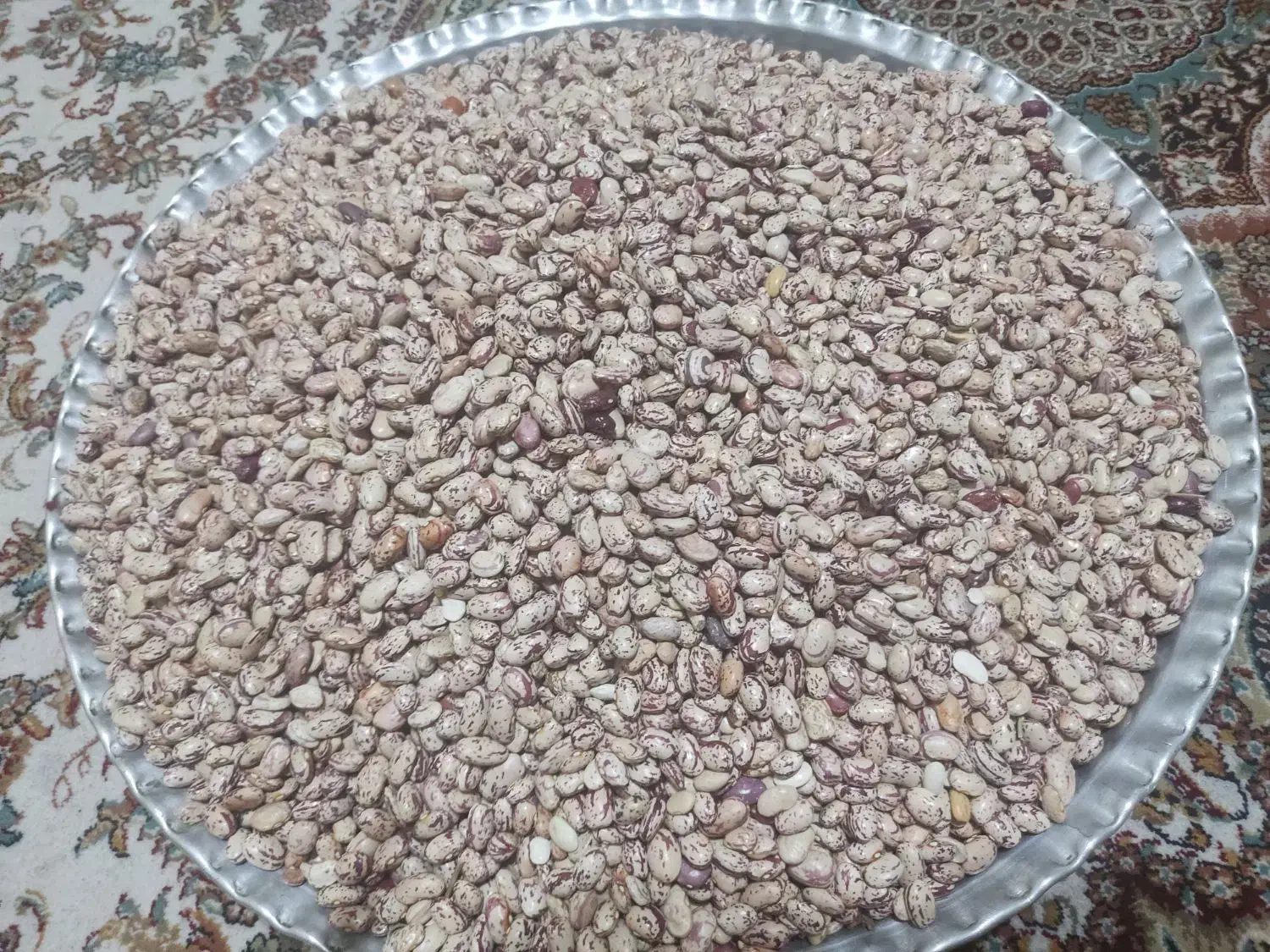 لوبیا چیتی|خوردنی و آشامیدنی|تهران, بلورسازی|دیوار