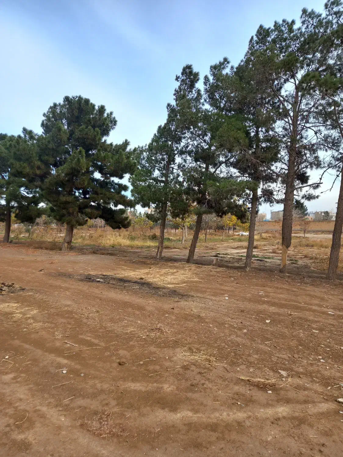 زمین باغچه|فروش زمین و ملک کلنگی|اسلام‌شهر, شهرک طالقانی|دیوار