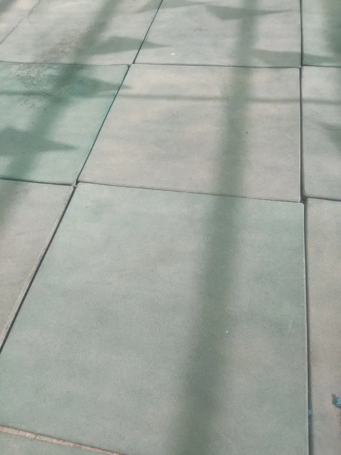 تاتومی وحدود۱۰۰کیلو روزنامه|تجهیزات ورزشی|بیرجند, |دیوار