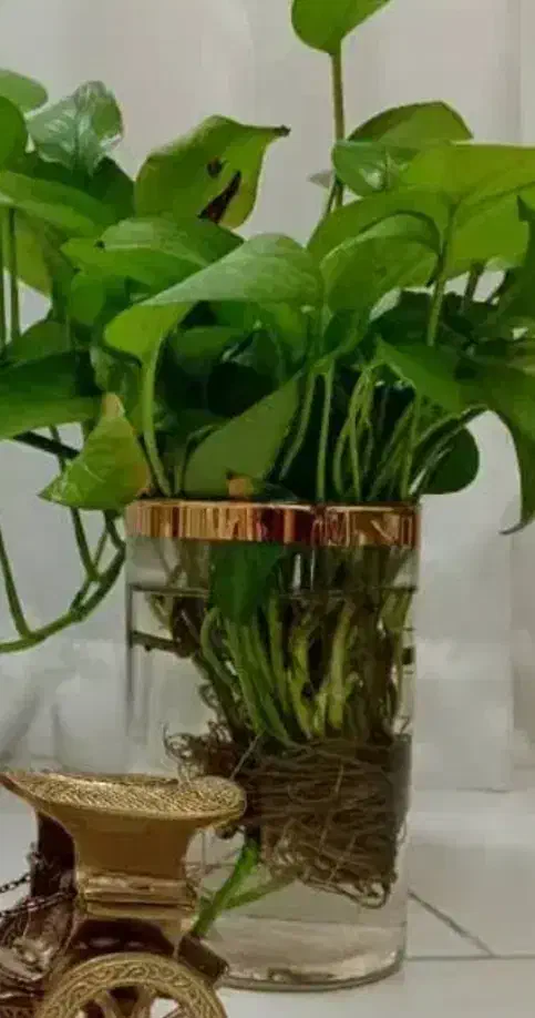 استند جا قابلمه ای|آبچکان و نظمدهنده ظروف|بروجرد, |دیوار