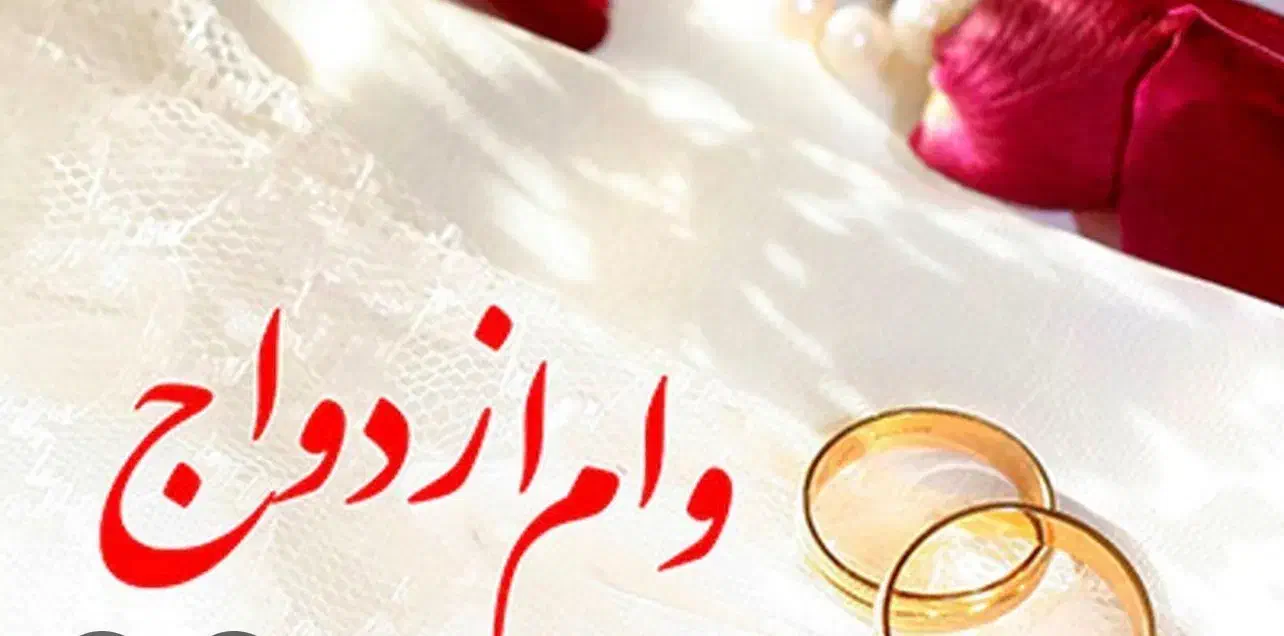 ضامن وام میشم شراکت|خدمات مالی، حسابداری، بیمه|اردبیل, |دیوار