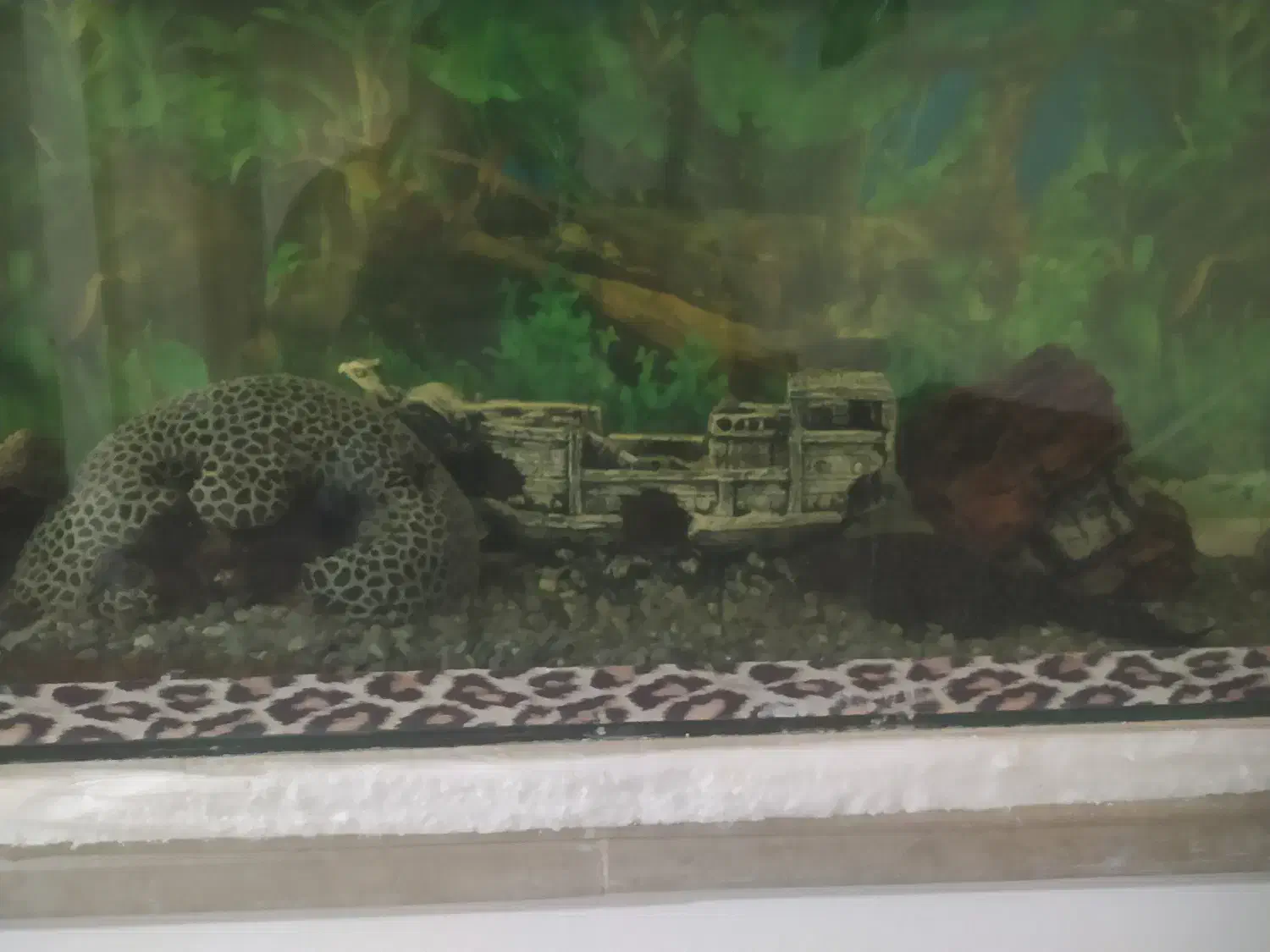 آکواریوم بزرگ|ماهی|سیرجان, |دیوار