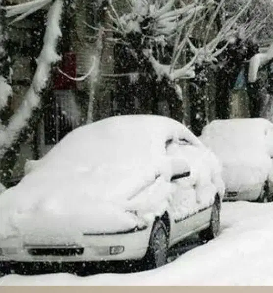 خودرو|خودرو اجاره‌ای|سمنان, |دیوار