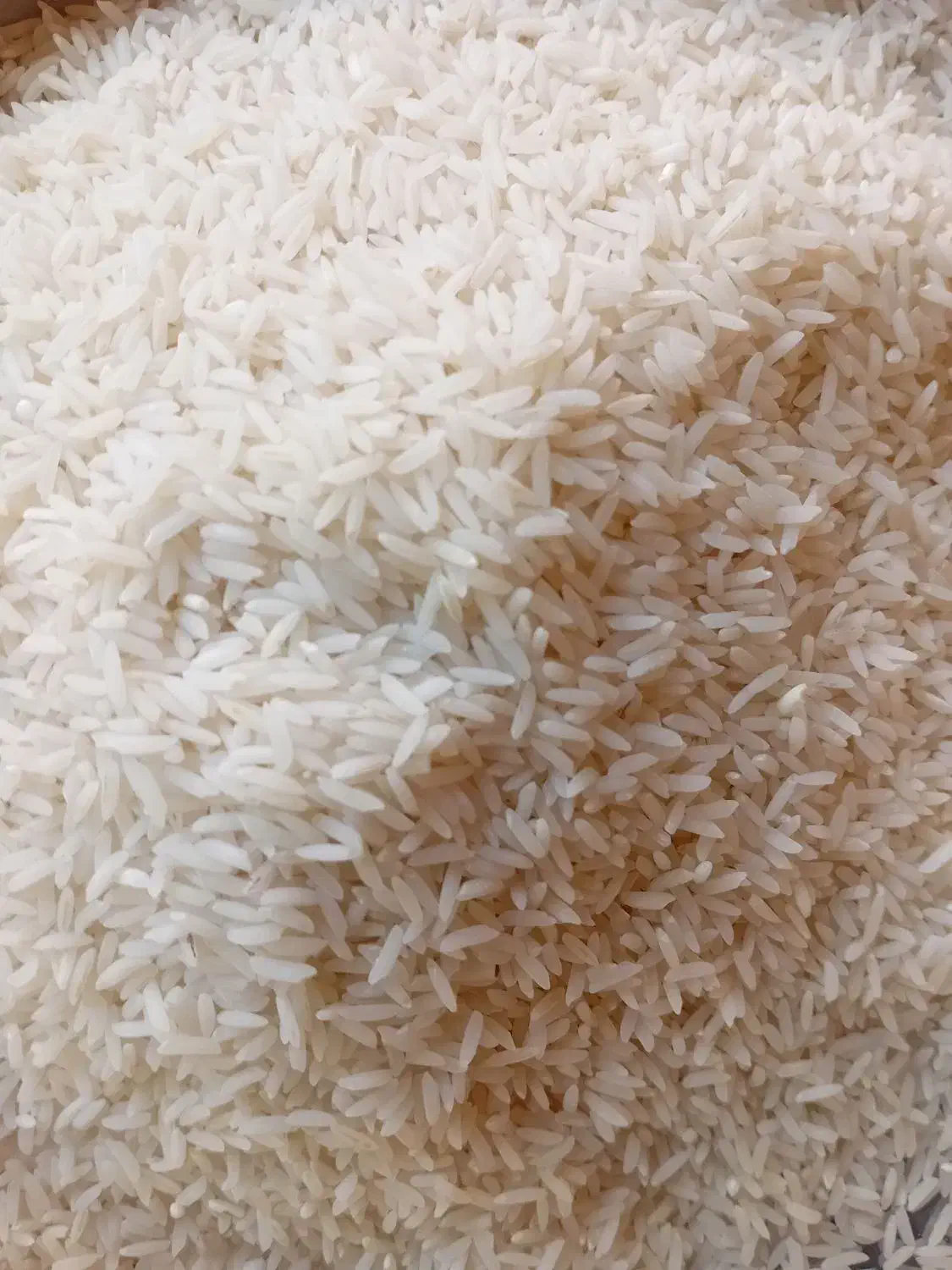 برنج هاشمی و زرد دوم|خوردنی و آشامیدنی|شفت, |دیوار