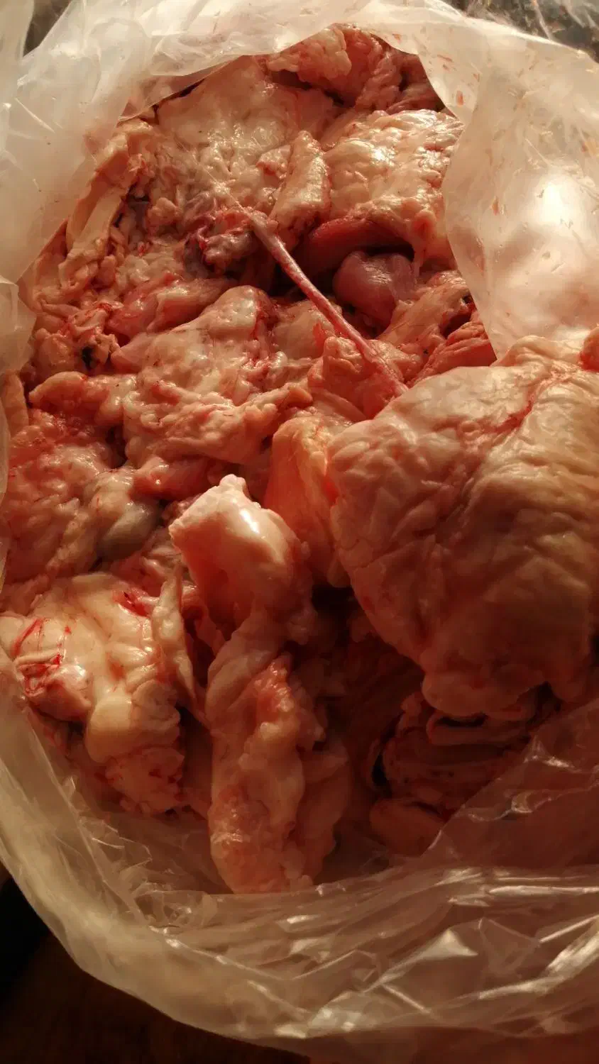 چربی درجه 1.(شهله،شله) گوسفندی گوساله|خوردنی و آشامیدنی|تهران, تهرانپارس جنوبی|دیوار