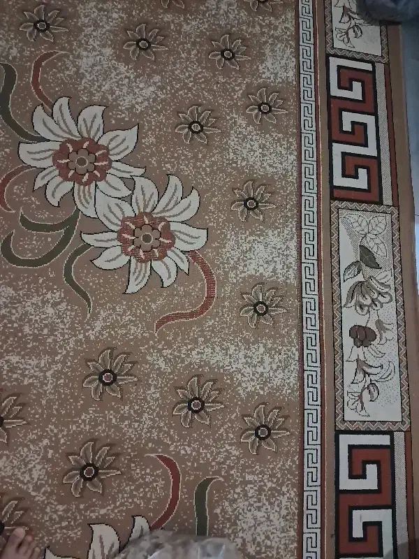 گلیم۲×۴|گلیم، جاجیم، گبه|سبزوار, شرق کال جنوبی (شمس آبادی)|دیوار