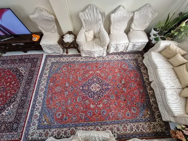 فرش ۹ متری دستبافت ساروق(تمیز و آماده استفاده)|فرش|تهران, صد دستگاه|دیوار