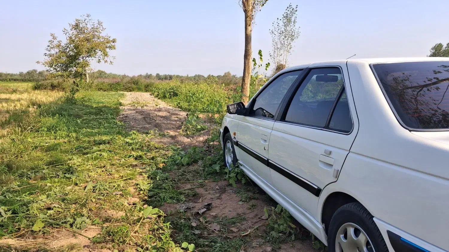 فروش زمین ۱۰۰متری داخل طرح هادی ویشکاننک سنگر|فروش زمین و ملک کلنگی|سنگر, |دیوار