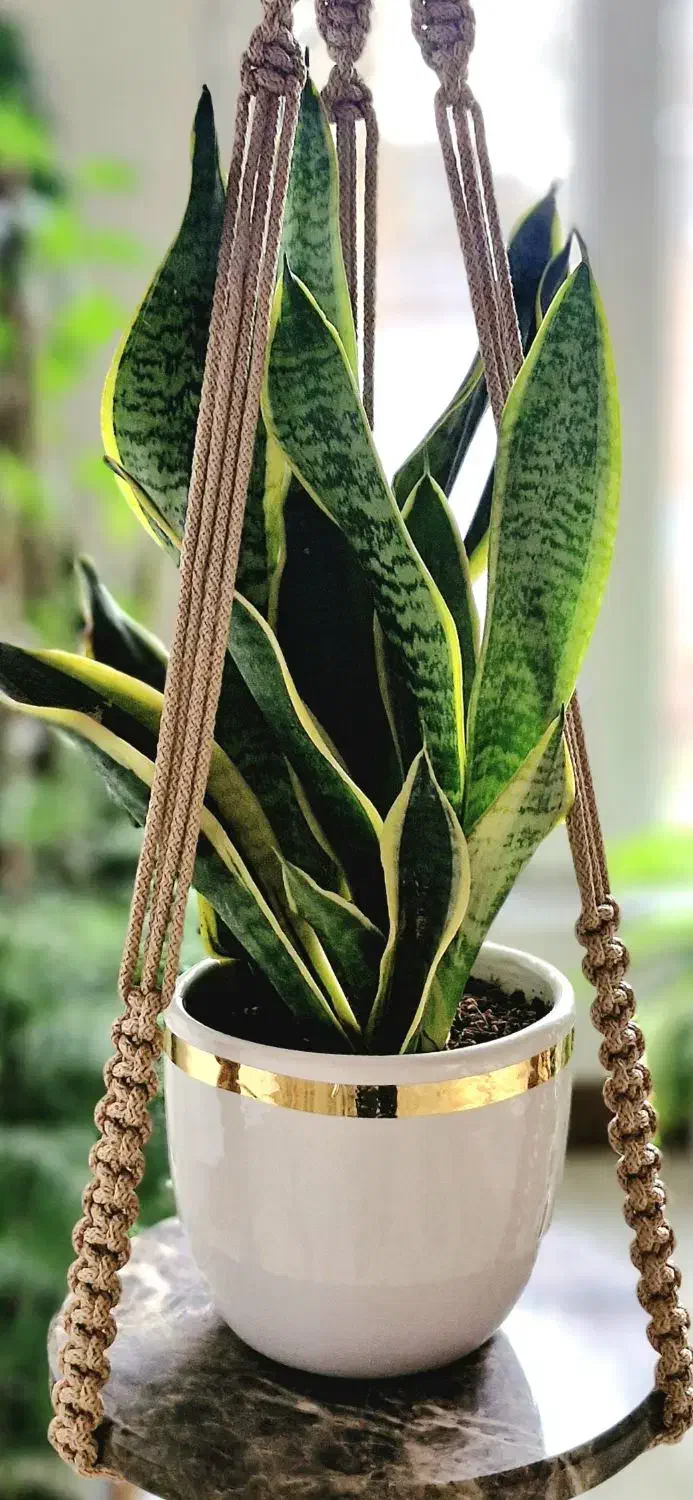 آویز مکرومه|صنایع دستی و سایر لوازم تزئینی|ورامین, ورامین|دیوار