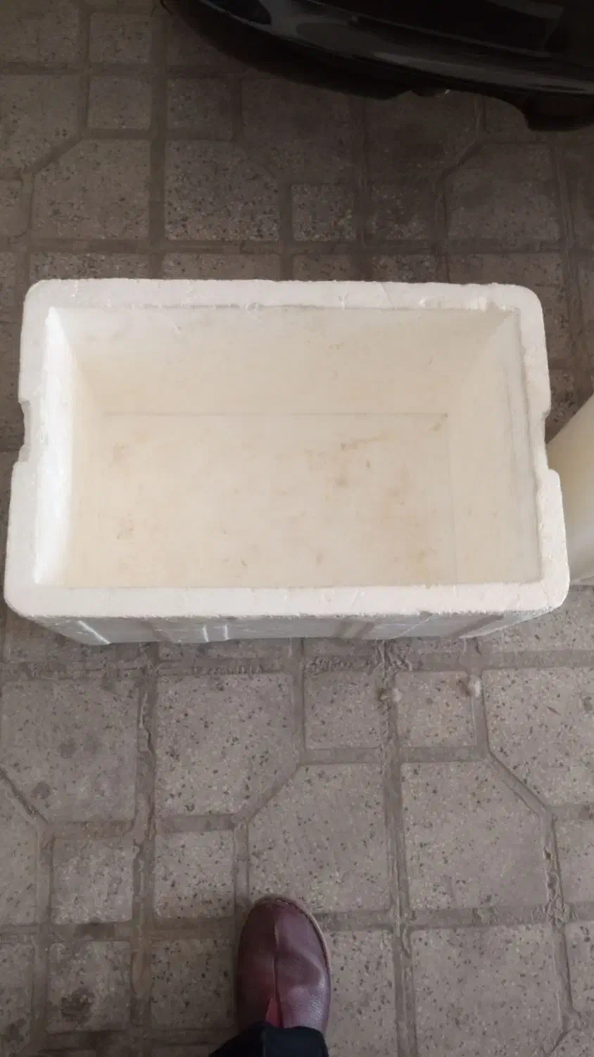 فروش 3عدد دبه و یک عدد یخدان کائوچویی|ظروف نگهدارنده، پلاستیکی، یکبارمصرف|شیراز, انجیر|دیوار