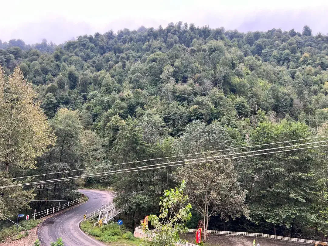 اجاره ویلا استخردار جنگلی بیلیارد 130|اجارهٔ کوتاهمدت ویلا و باغ|ماسال, |دیوار