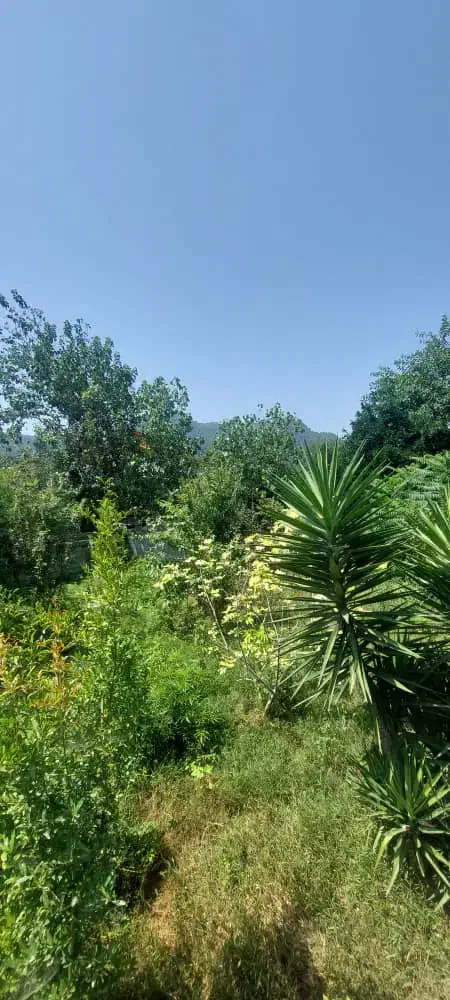 ویلا ۲۴۰متر/۲خواب/شمال/سند/معاوضه|فروش خانه و ویلا|پره‌سر, |دیوار