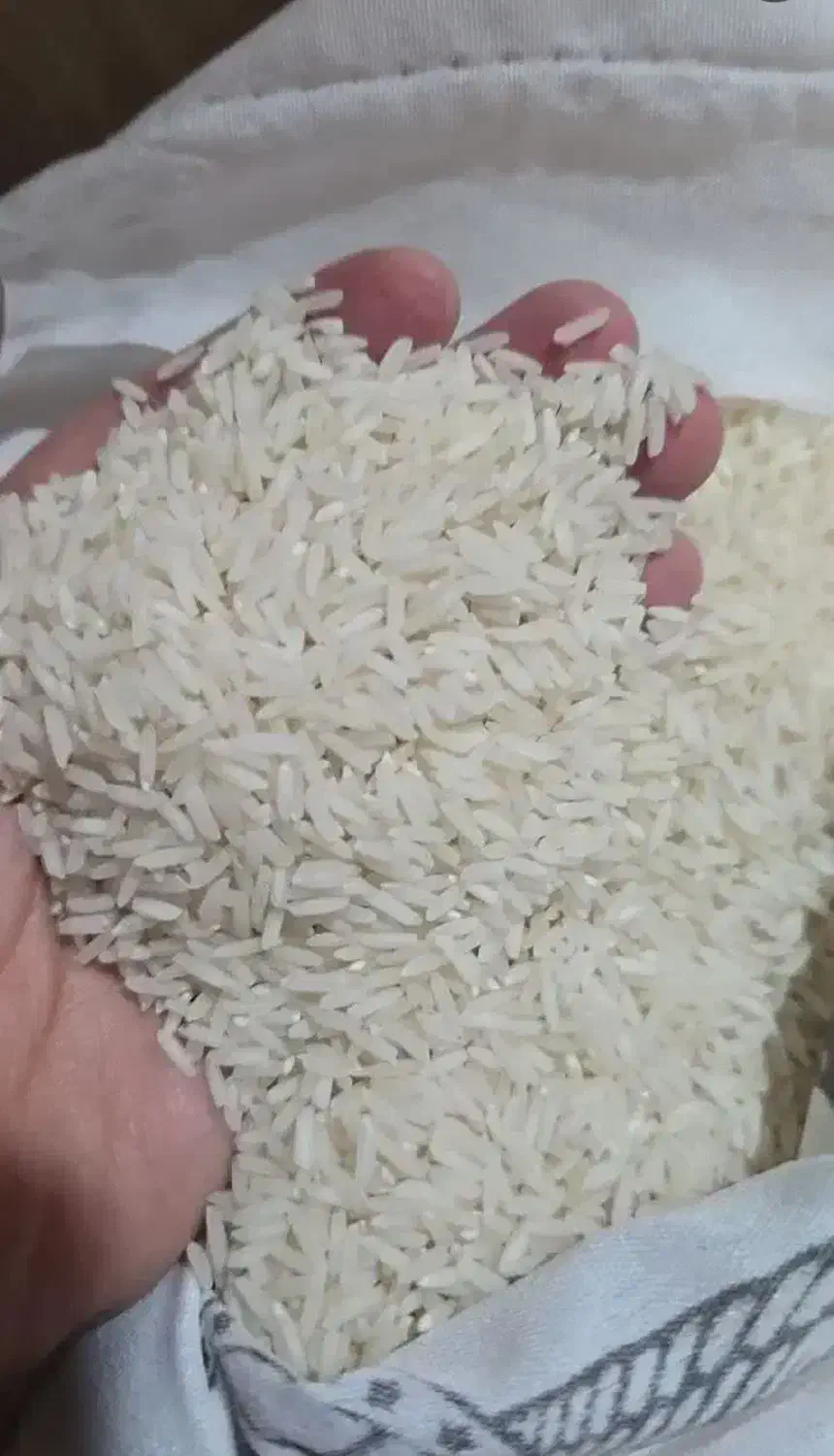 برنج هاشمی درجه یک مستقیم از کشاورز|خوردنی و آشامیدنی|تهران, زنجان جنوبی|دیوار