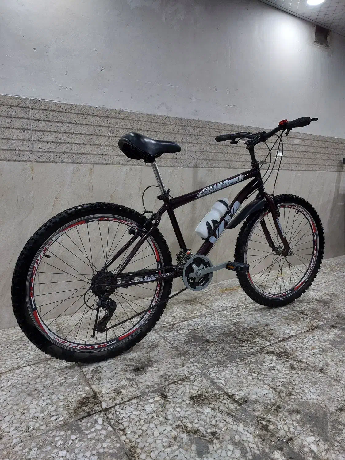 دوچرخه ویوا VIVA سایز 26 دنده ای رنگ بنفش|دوچرخه، اسکیت، اسکوتر|رباط‌کریم, رباط‌کریم|دیوار