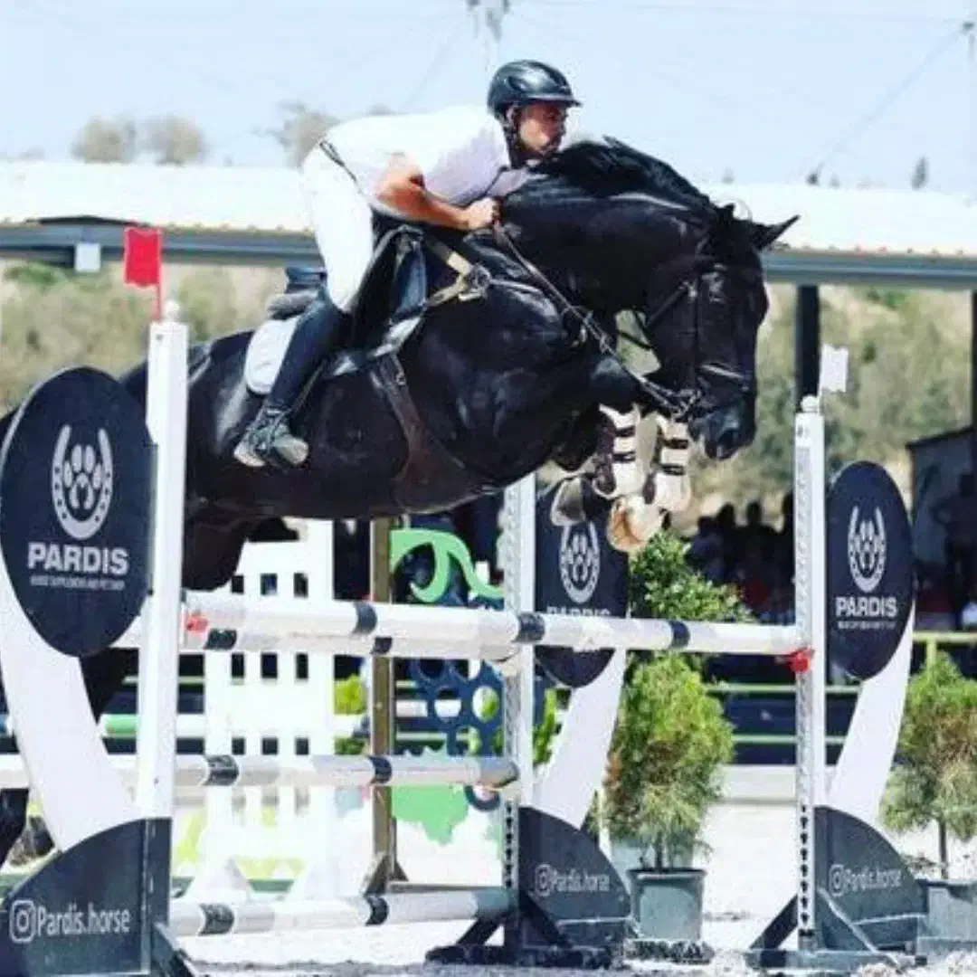 آموزش سوارکاری|خدمات آموزشی|صفادشت, |دیوار