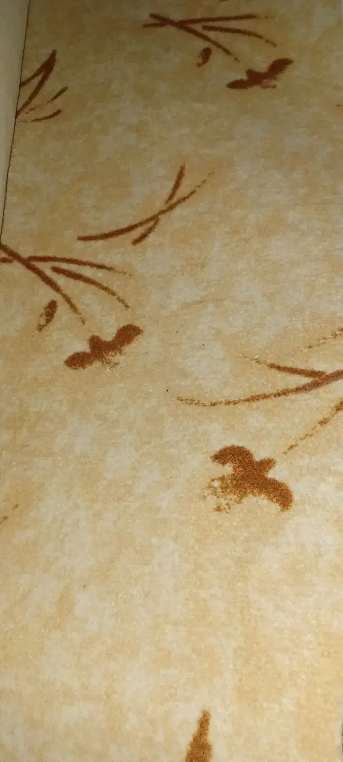 پالاز موکت ۱۳ متری کرمقهوه ای درحد نو|موکت|خرمآباد, |دیوار