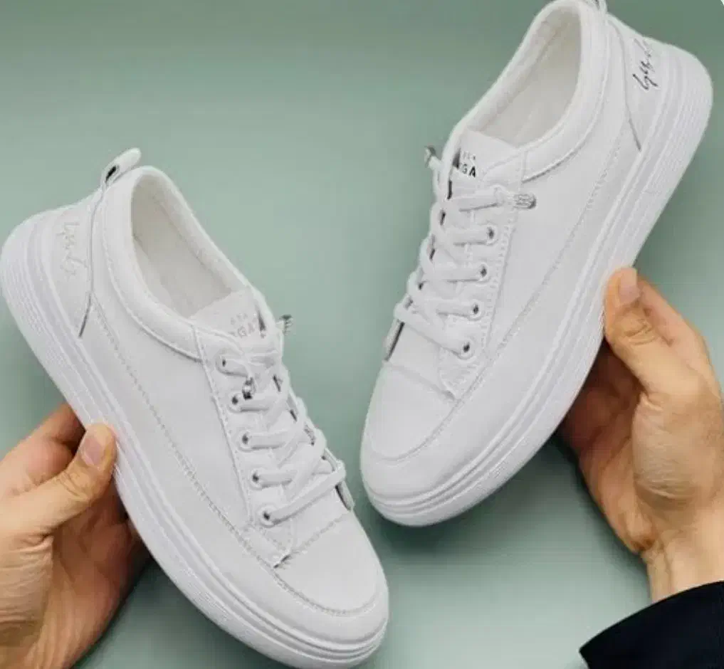 کفش اسپرت|کیف، کفش، کمربند|بندرعباس, |دیوار