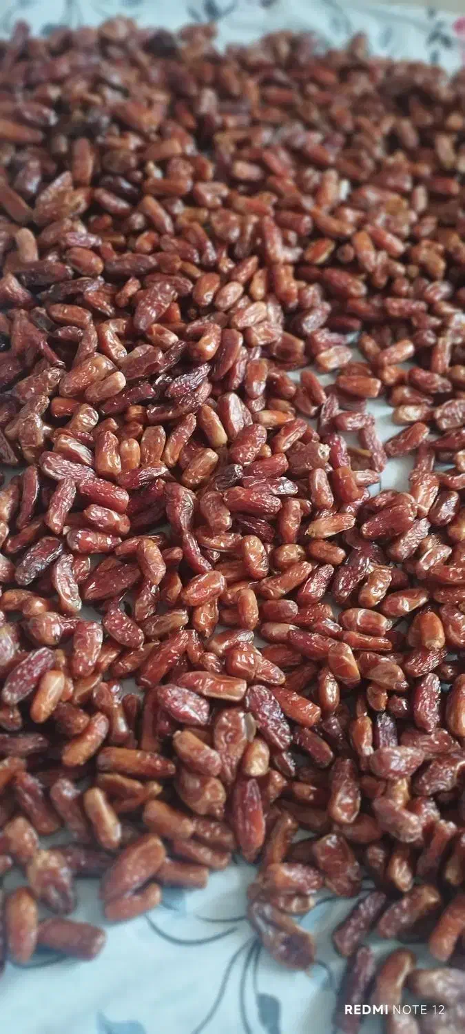 خاصویی پفیلا آویشن اردتمرخرما کارتونی چیپس خرما|خوردنی و آشامیدنی|تهران, شهرک دانشگاه|دیوار