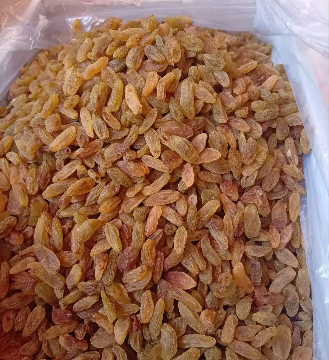 کشمش سبز|خوردنی و آشامیدنی|پرند, فاز ۵|دیوار