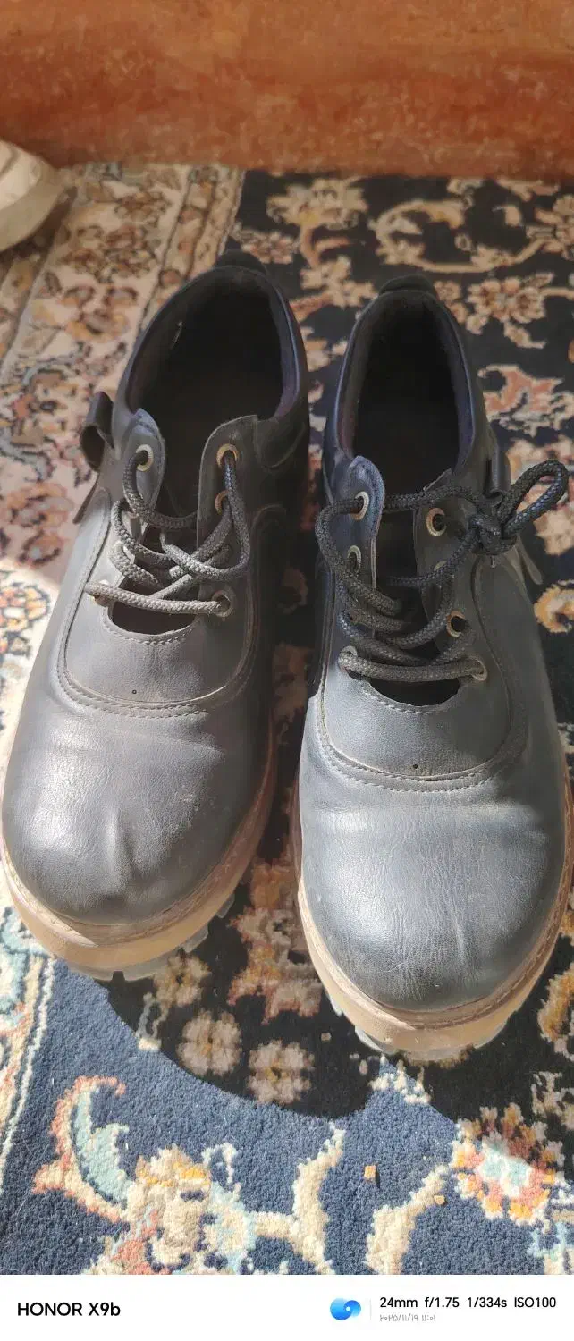 کفش|کیف، کفش، کمربند|تربت‌حیدریه, شهید بهشتی|دیوار