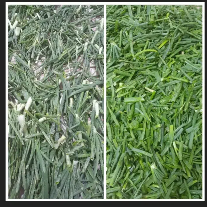 سر پیازچه|خوردنی و آشامیدنی|رباطکریم, رباطکریم|دیوار
