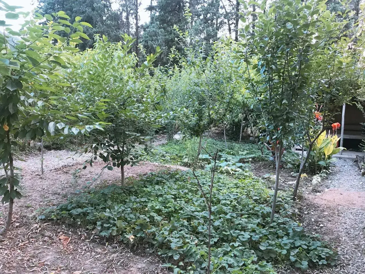 اجاره یک قطعه زمین|اجارهٔ دفتر صنعتی، کشاورزی، تجاری|گرگان, |دیوار