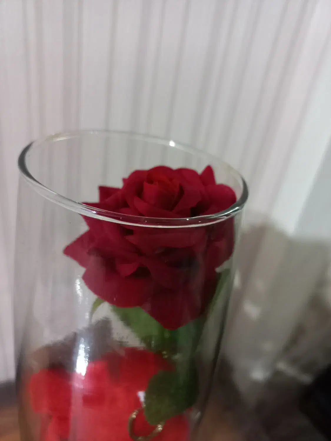 گلدان وگل|گل مصنوعی|تهران, تهرانپارس غربی|دیوار