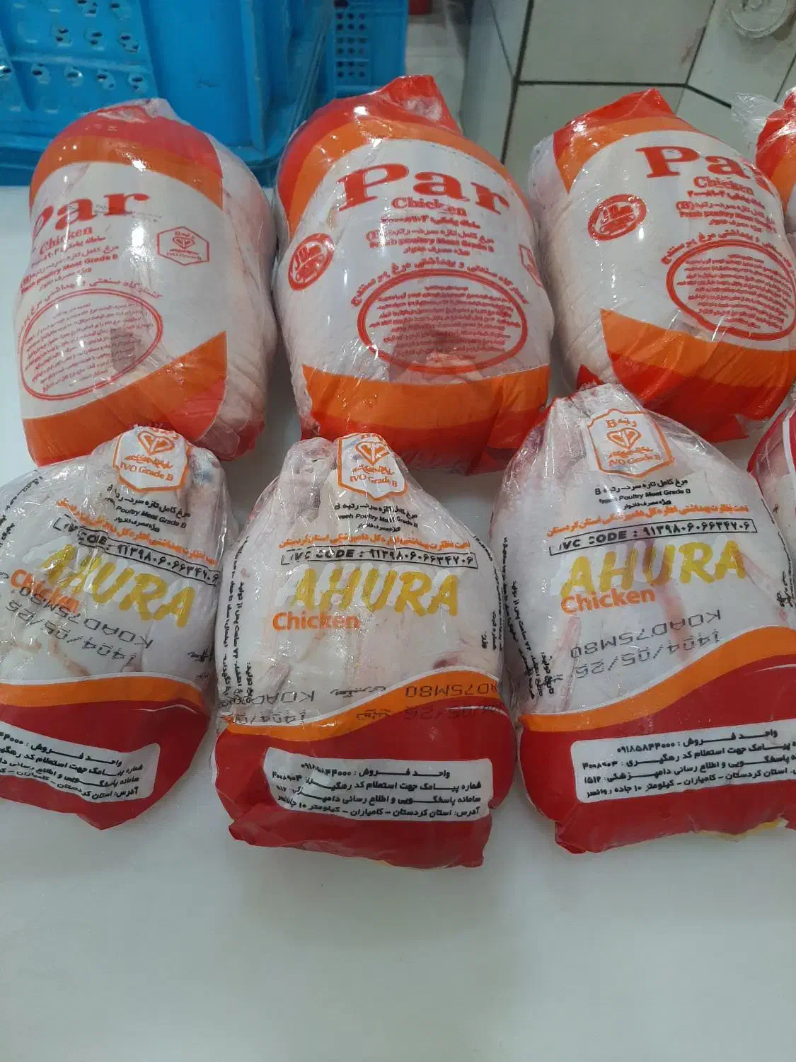 نیروی خانم و آقا، جهت پاک کردن نرغ|استخدام خدمات فروشگاه و رستوران|سنندج, |دیوار