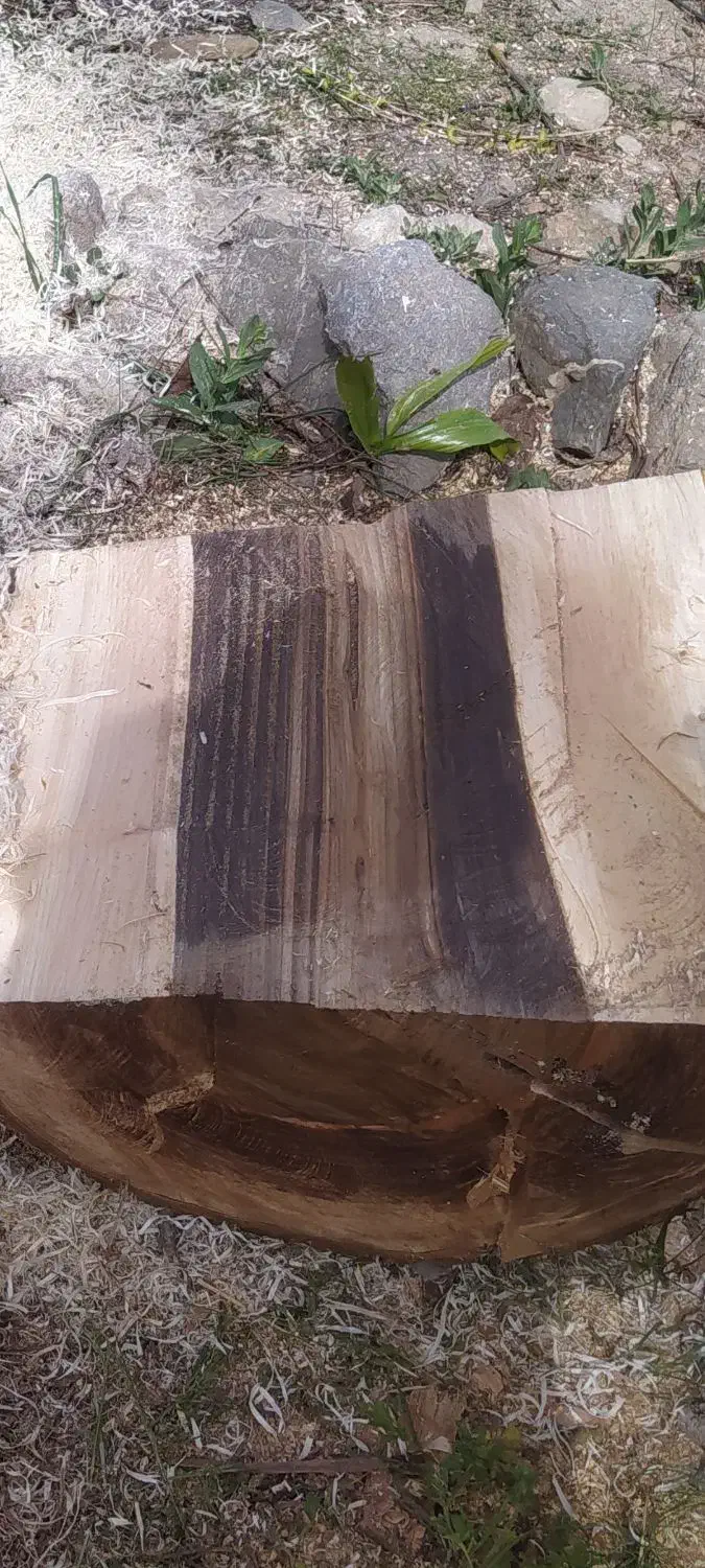 خریدار درخت خشک|خدمات باغبانی و درختکاری|سنندج, |دیوار