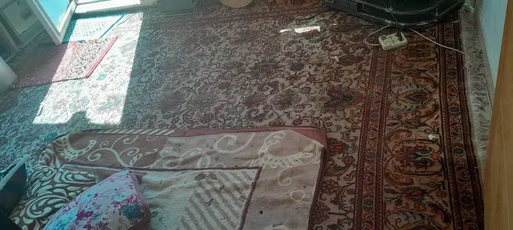 فروش فرش دستباف ۱۲ متری با رنگ روشن و بسیار زیبا|فرش|شیراز, دکتر حسابی|دیوار