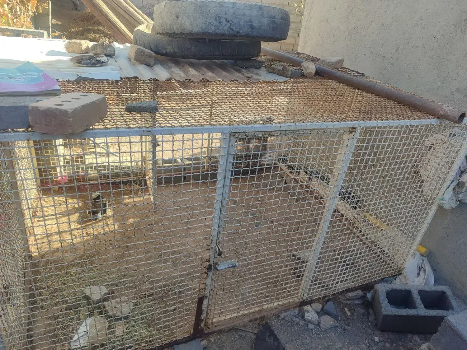 قفس آهنی مرتب وضخیم دودرب سنگین|لوازم جانبی حیوانات|تربت جام, جلگه موسی آباد|دیوار