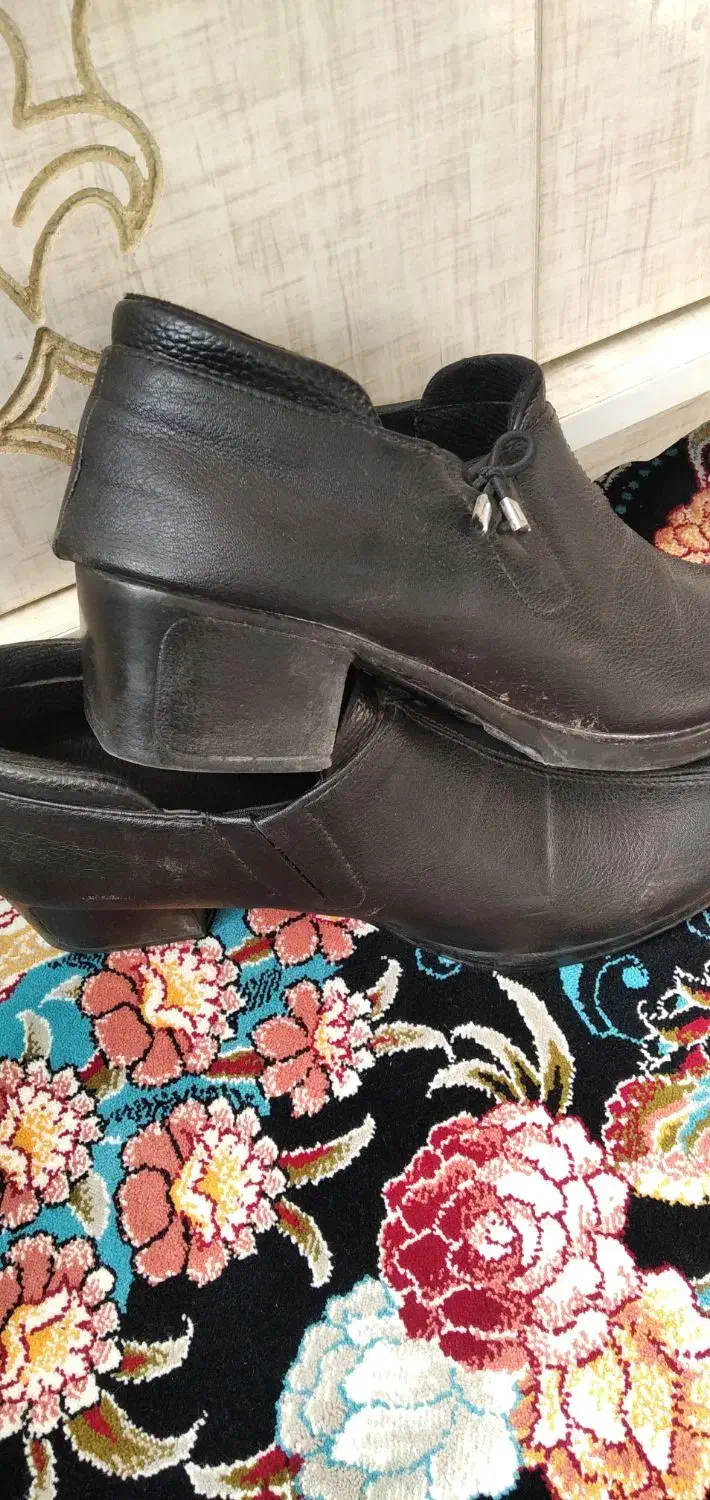 کفش مردانه وزنانه|کیف، کفش، کمربند|الشتر, |دیوار