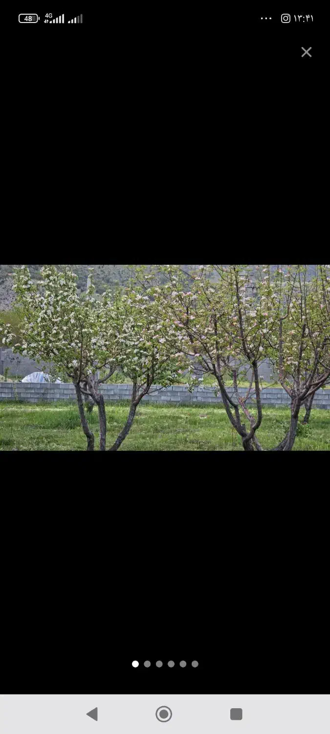 باغ در سی سخت|فروش دفتر صنعتی، کشاورزی، تجاری|سیسخت, |دیوار