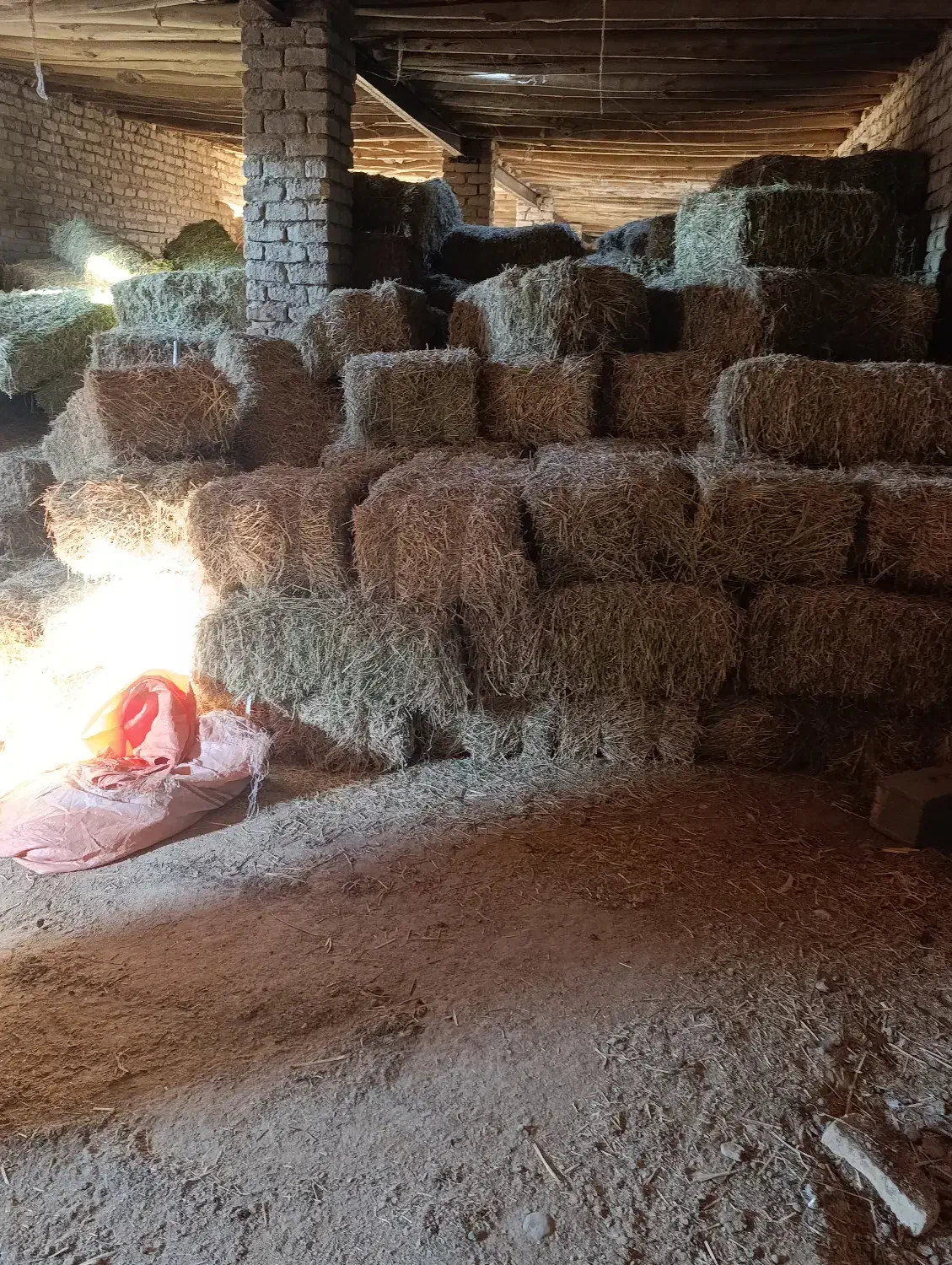 چهار تن پرس دیمه موجود است|لوازم جانبی حیوانات|شیروان (خراسان), |دیوار