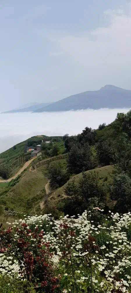 اجاره ویلا در روستای کوهستانی فیلبند|اجارهٔ کوتاهمدت آپارتمان و سوئیت|گلوگاه بابل (گلیا), |دیوار